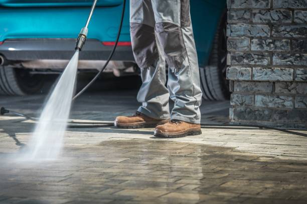 Best Paint Preparation  in Blasdell, NY