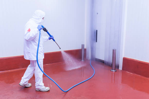Trusted Blasdell, NY Pressure Washing Experts