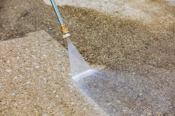 Best Winterizing Services  in Blasdell, NY